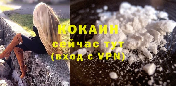 спиды Арсеньев