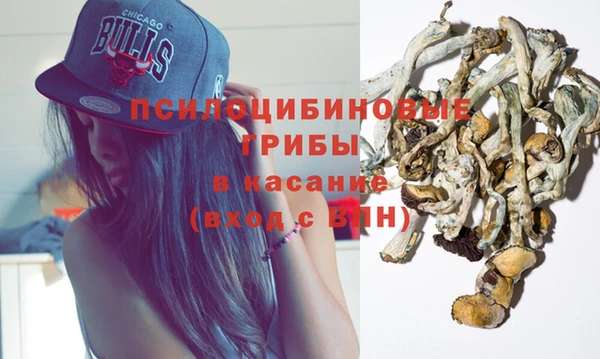 спиды Арсеньев